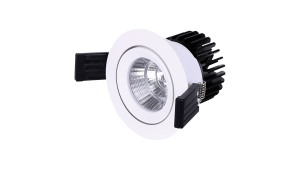 Brilux-Einbauspot-B500-Rahmen-B502-R17803-Vorschau