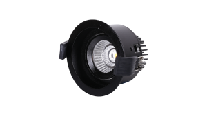 Brilux-Einbauspot-B500-Rahmen-B502-R19005-Vorschau