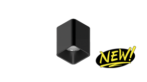 Brilux-Innenleuchten-Aufbauleuchten-B52-QA-Vorschau/anteprima